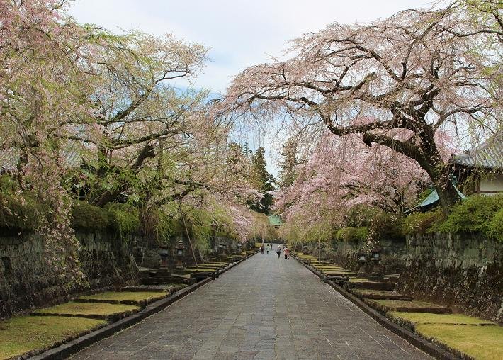 ⛩️ 용성 신사(타츠키 진자) 이미지 5